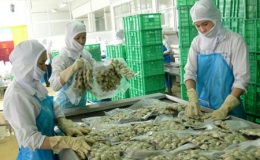 Xuất khẩu sang Ph&aacute;p đạt hơn 1 tỷ USD